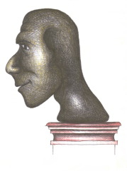 viso-7